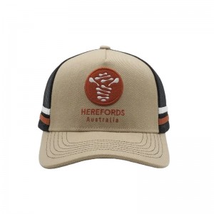 Anpassad högprofilerad australisk country trucker mössor, 2 sidor rand mesh trucker cap, randig trucker ha
